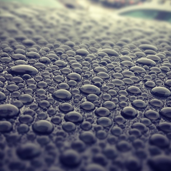 Meet your Posher, Daniel - Picture 1 of 1